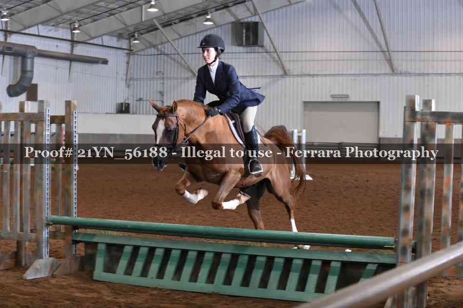 Proof 21YN_56188