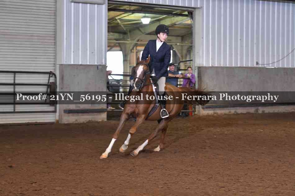 Proof 21YN_56195