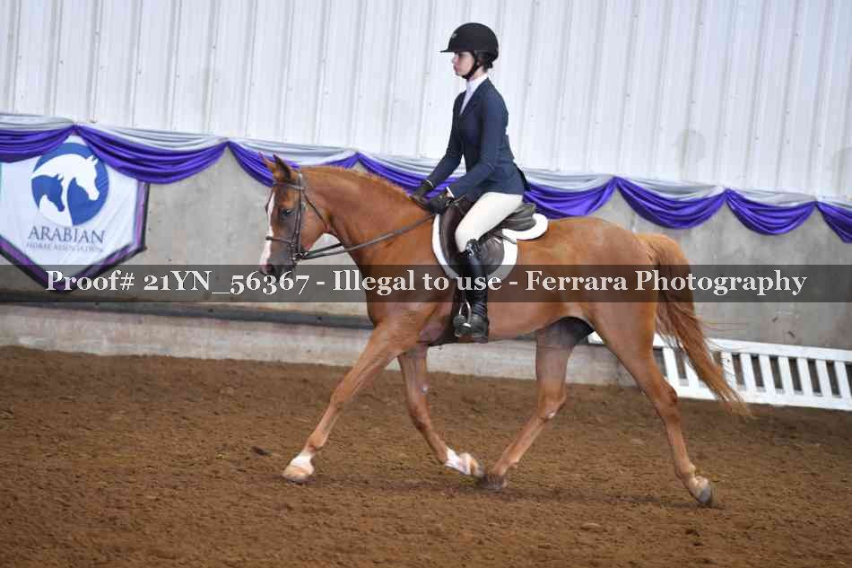 Proof 21YN_56367