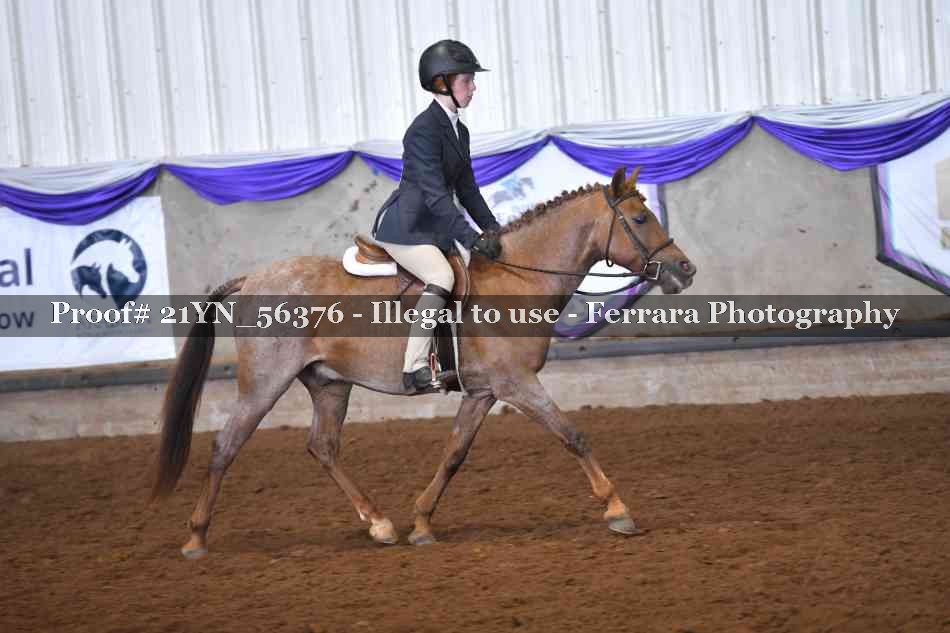 Proof 21YN_56376