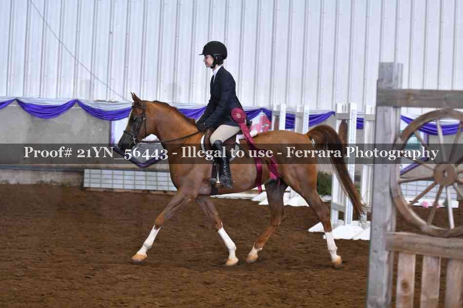 Proof 21YN_56443