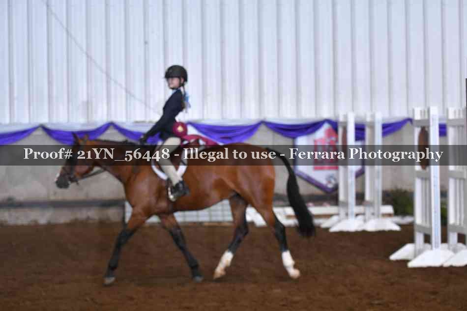 Proof 21YN_56448