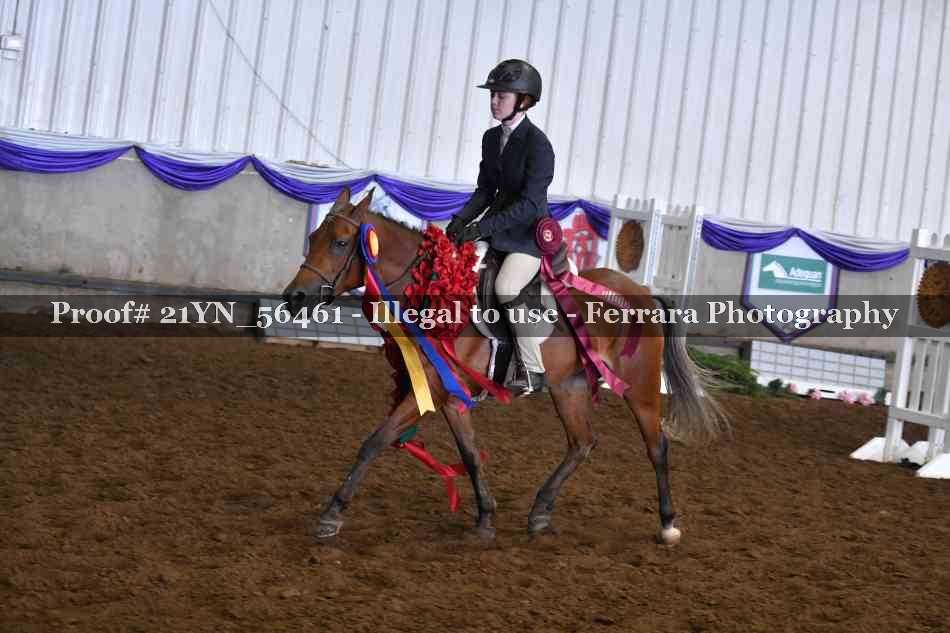 Proof 21YN_56461