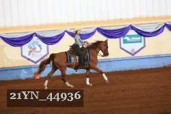 21YN_44936 proof