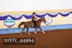 21YN_44964 proof