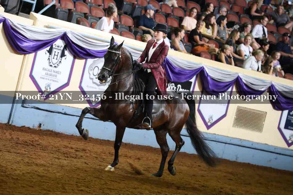 Proof 21YN_32456