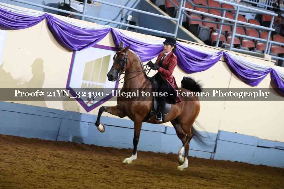 Proof 21YN_32490