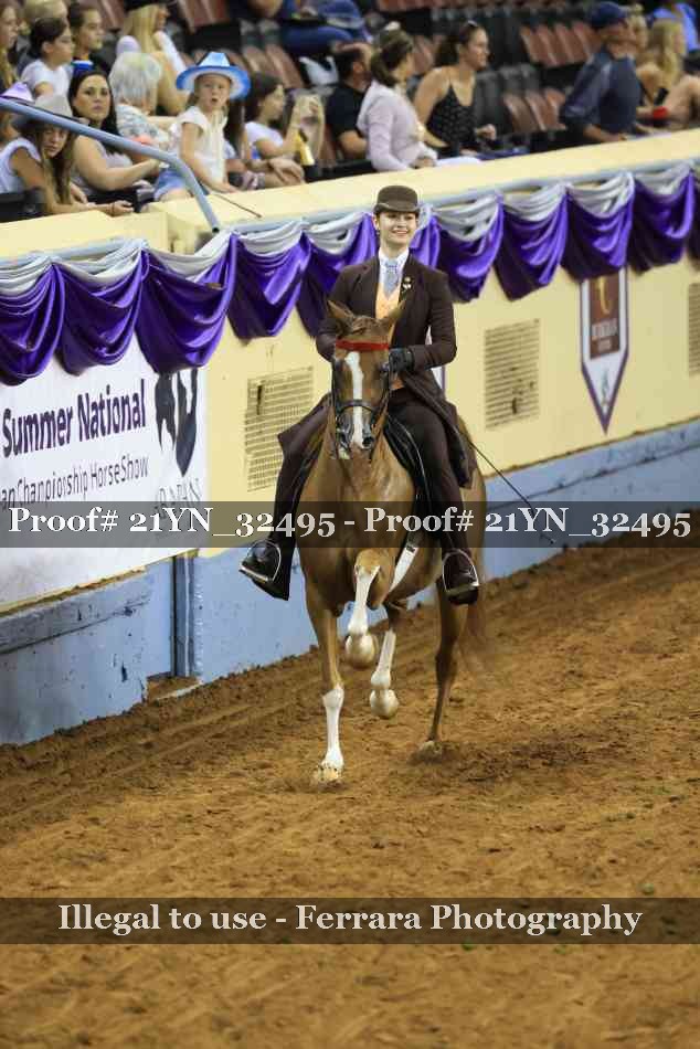 Proof 21YN_32495