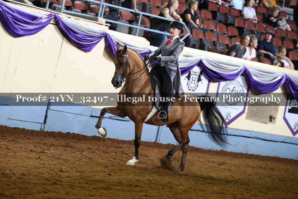 Proof 21YN_32497