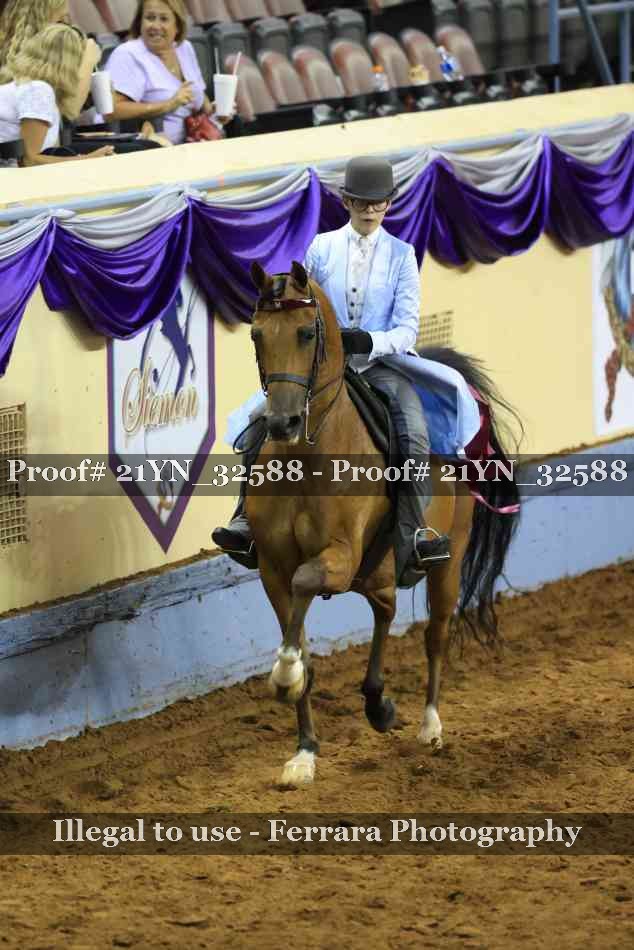 Proof 21YN_32588