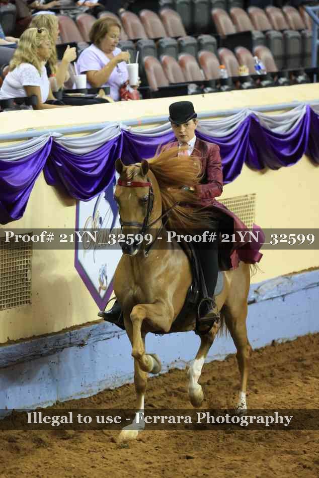 Proof 21YN_32599