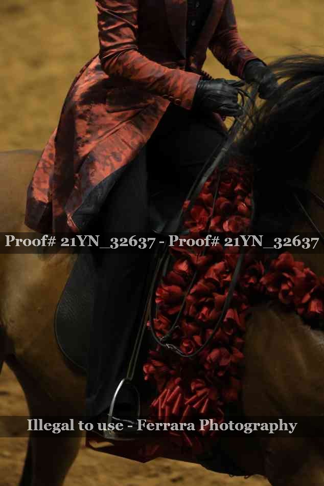 Proof 21YN_32637