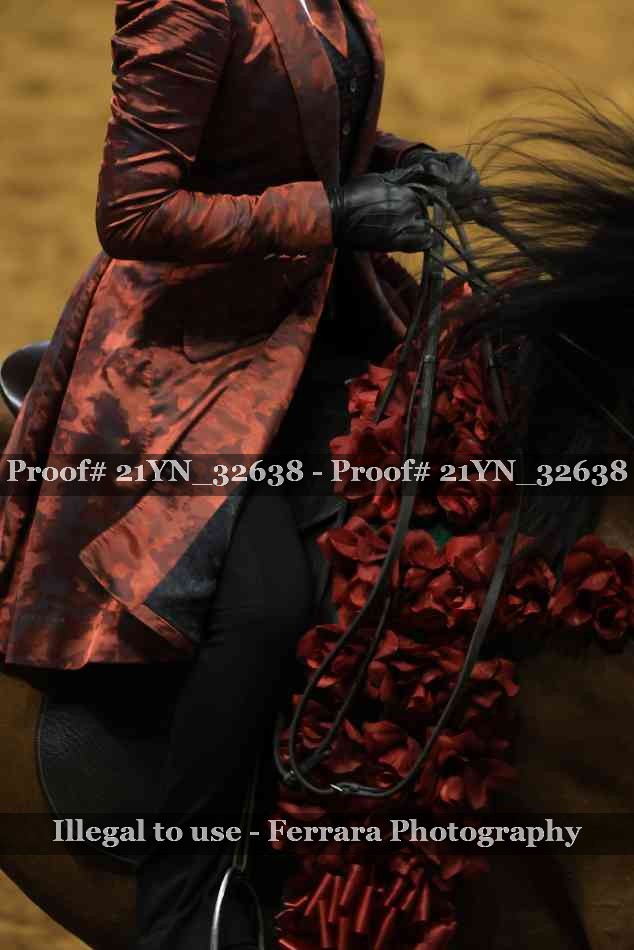 Proof 21YN_32638