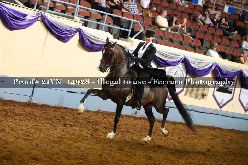 Proof 21YN_14928