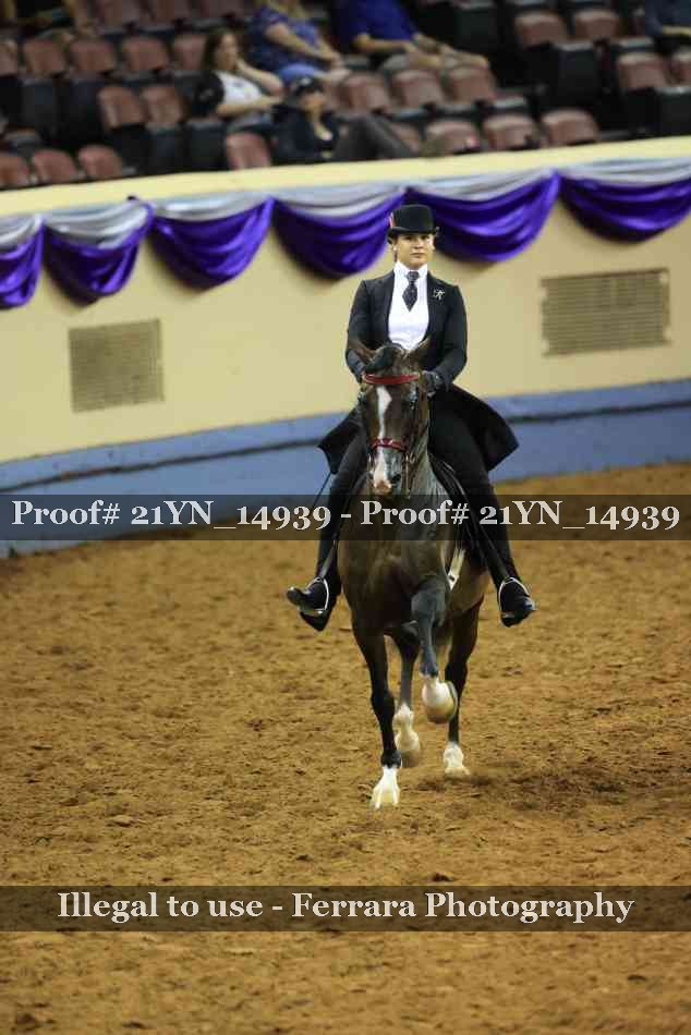 Proof 21YN_14939