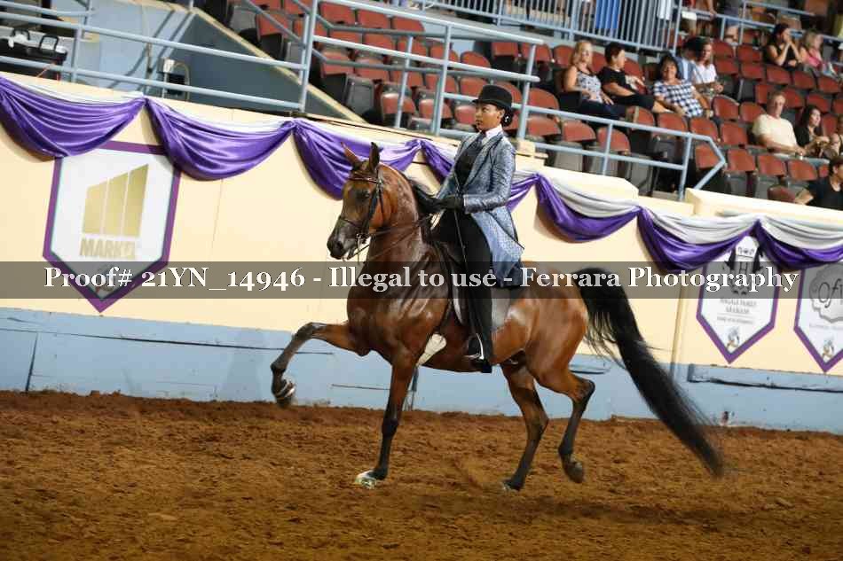 Proof 21YN_14946