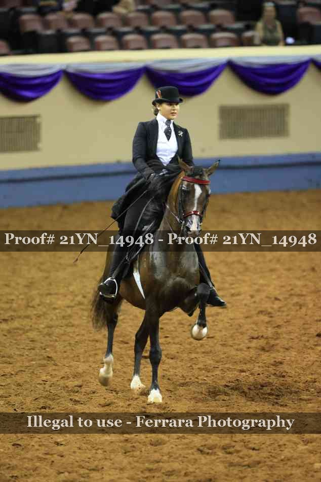 Proof 21YN_14948