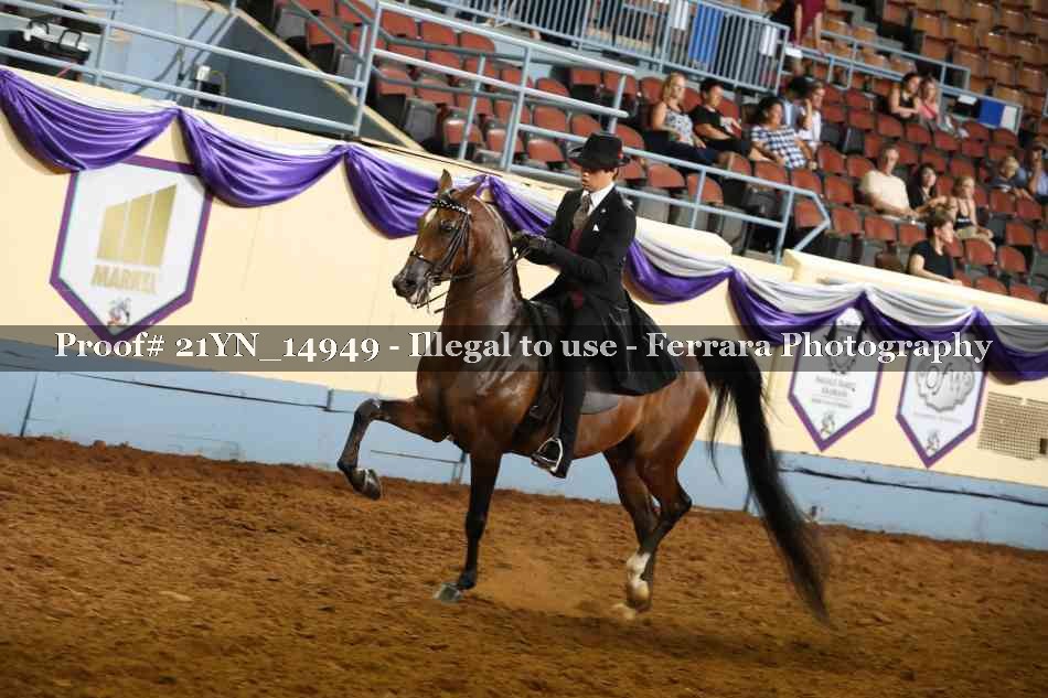 Proof 21YN_14949