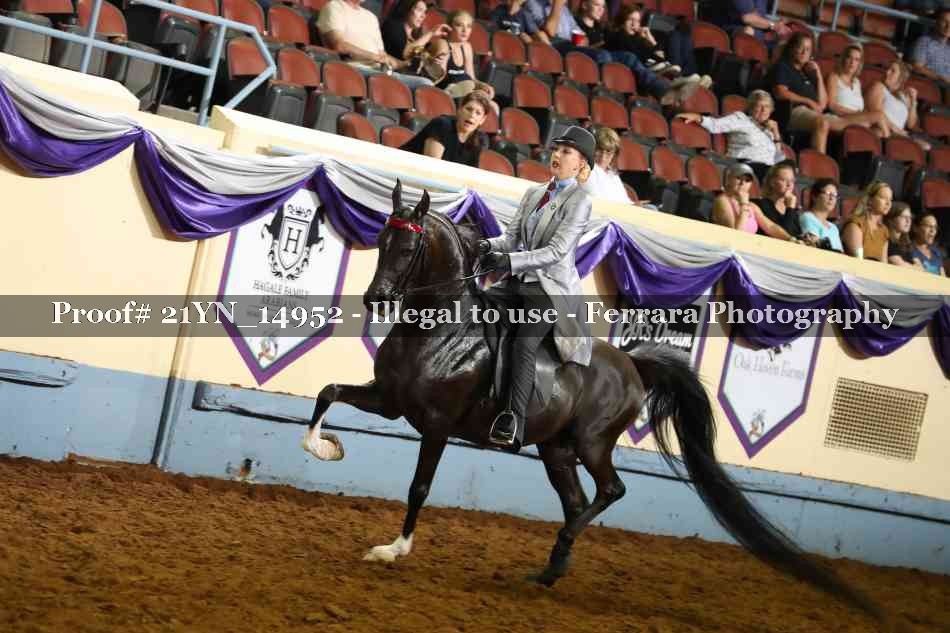 Proof 21YN_14952