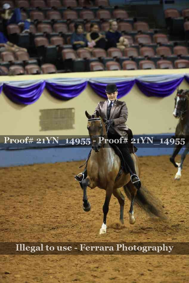 Proof 21YN_14955