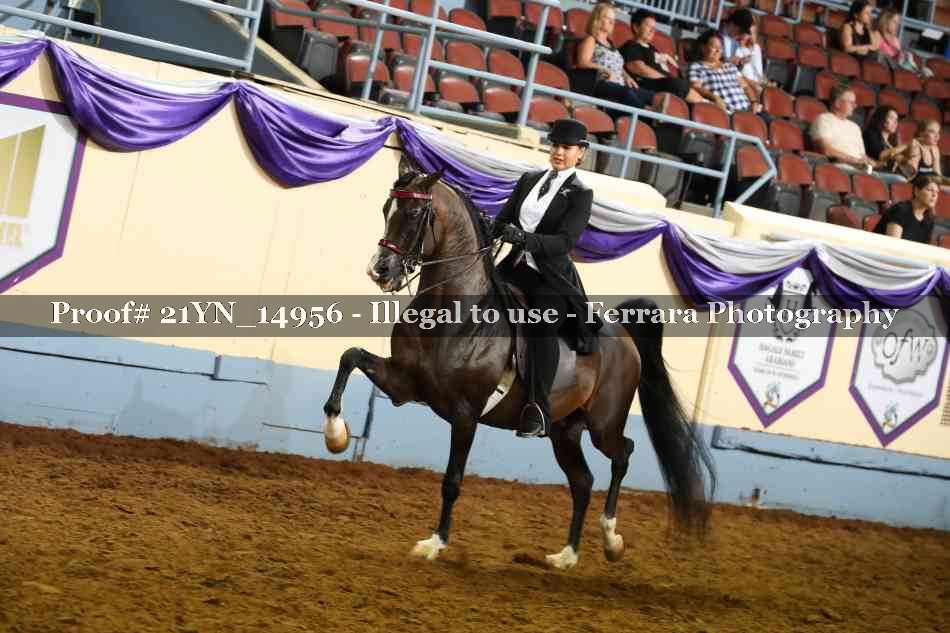 Proof 21YN_14956