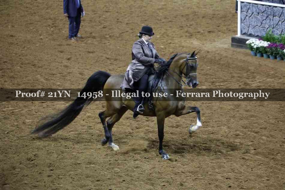 Proof 21YN_14958