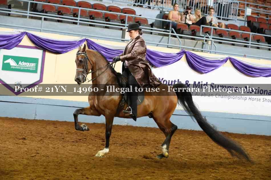 Proof 21YN_14960