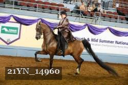 21YN_14960 proof