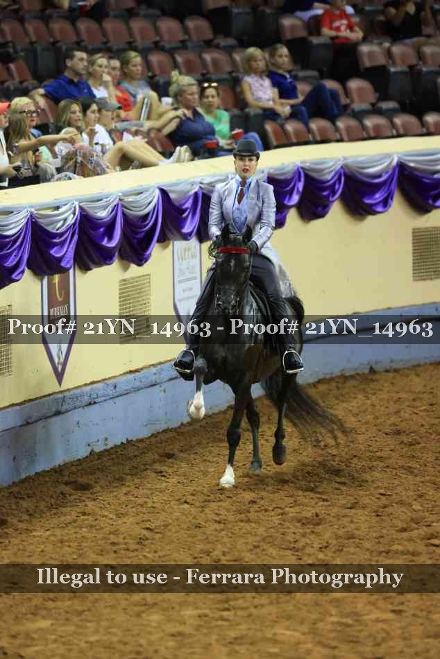 Proof 21YN_14963