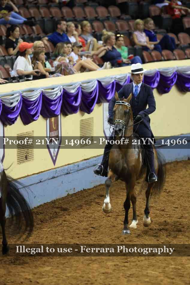 Proof 21YN_14966