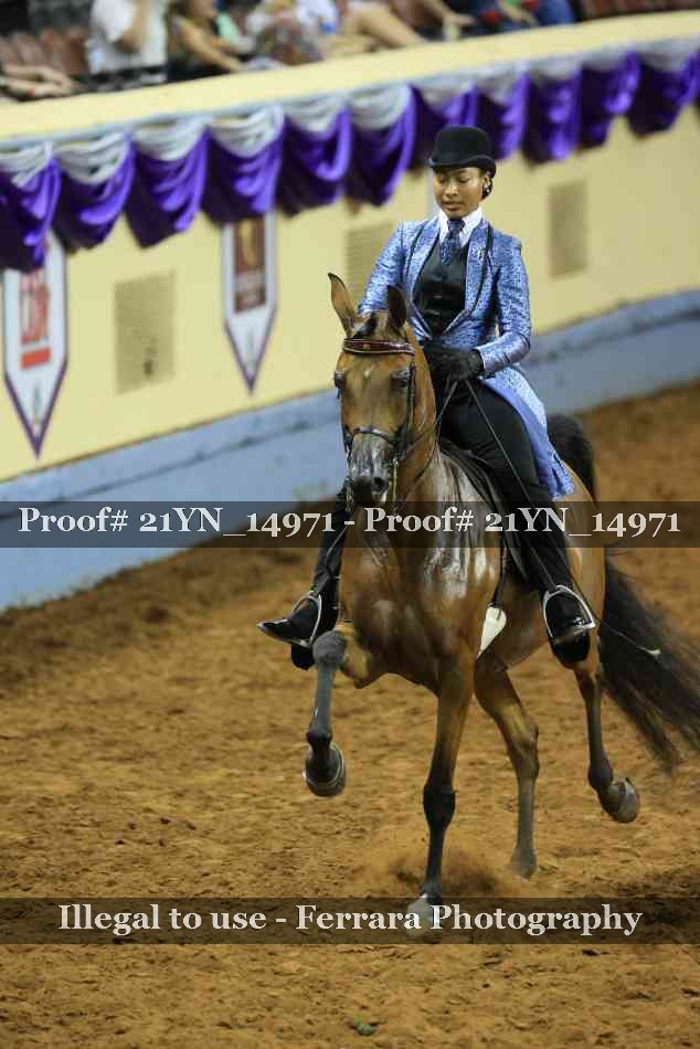 Proof 21YN_14971