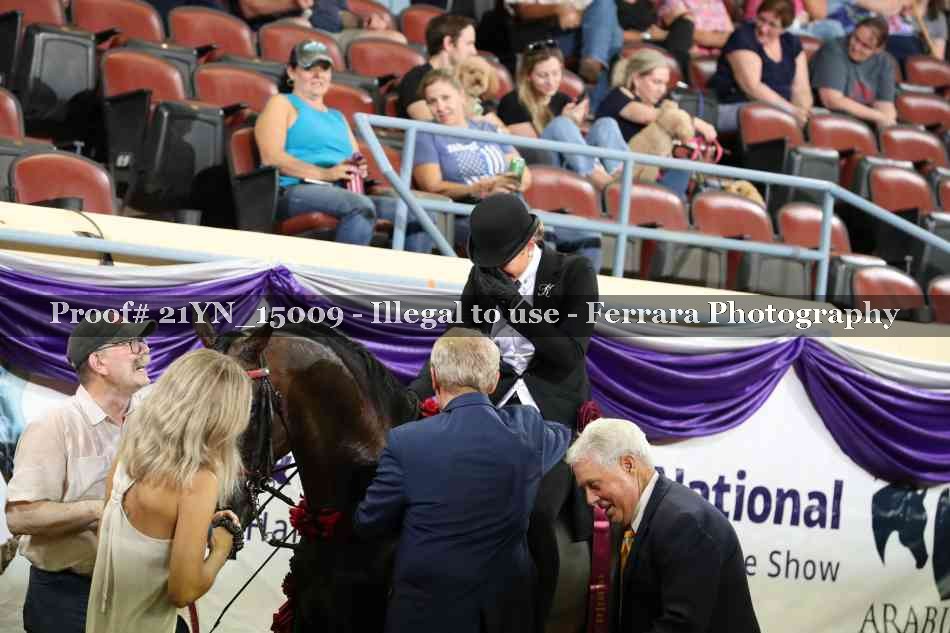 Proof 21YN_15009