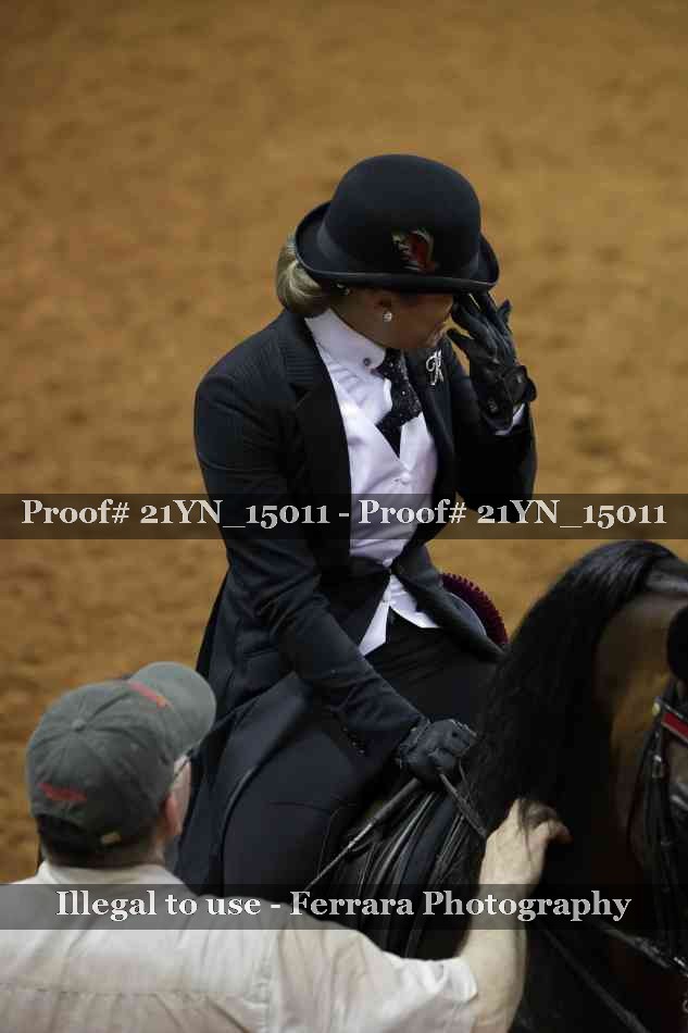 Proof 21YN_15011