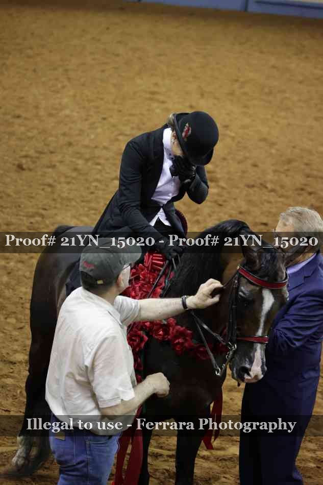 Proof 21YN_15020