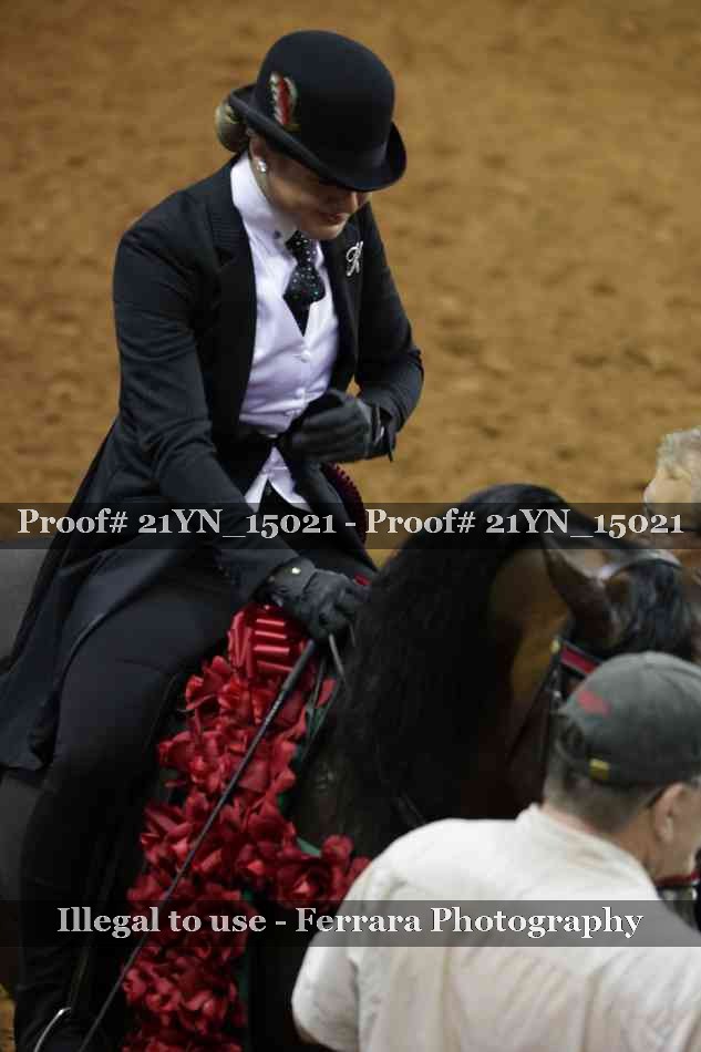 Proof 21YN_15021
