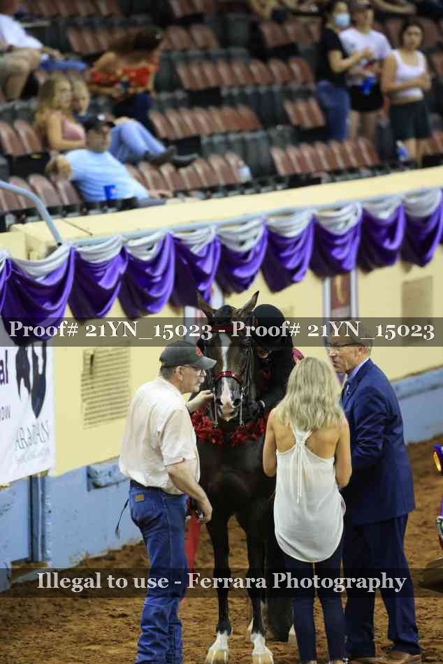 Proof 21YN_15023