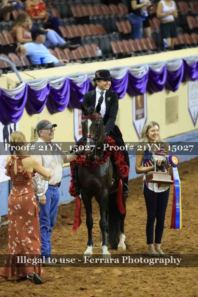 Proof 21YN_15027