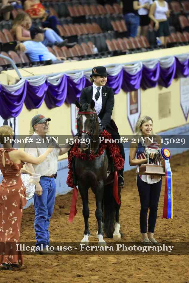 Proof 21YN_15029