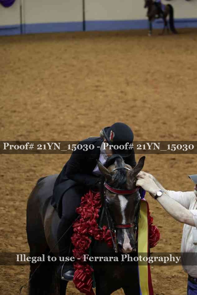 Proof 21YN_15030