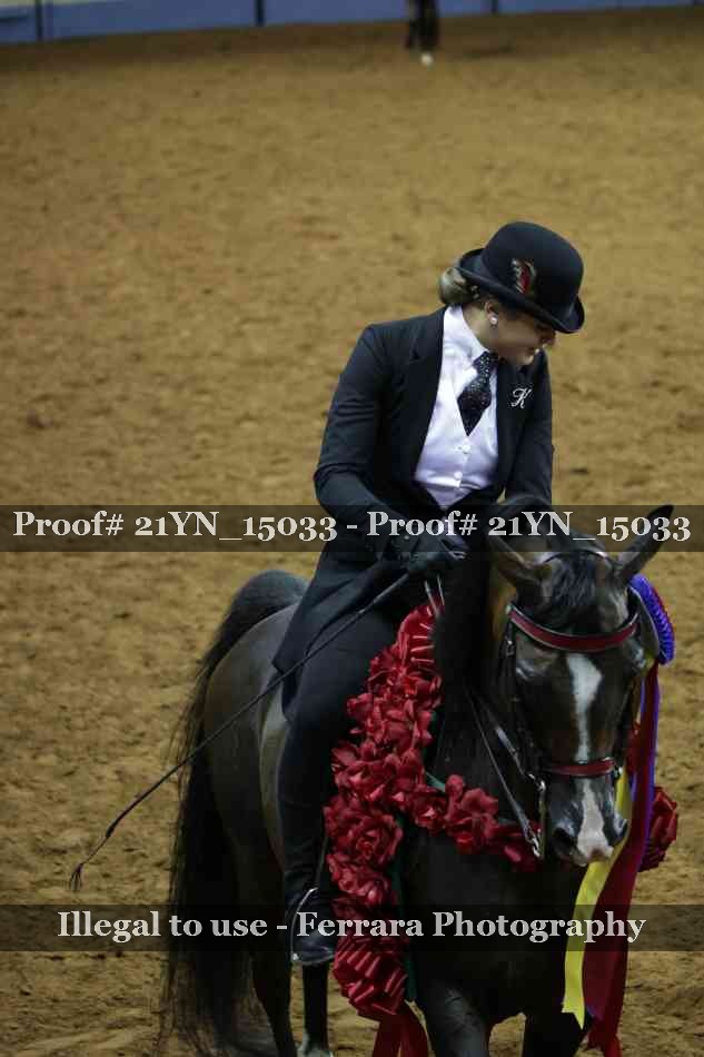 Proof 21YN_15033