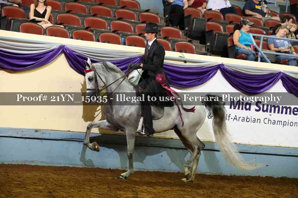 Proof 21YN_15035