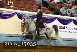 21YN_15035 proof