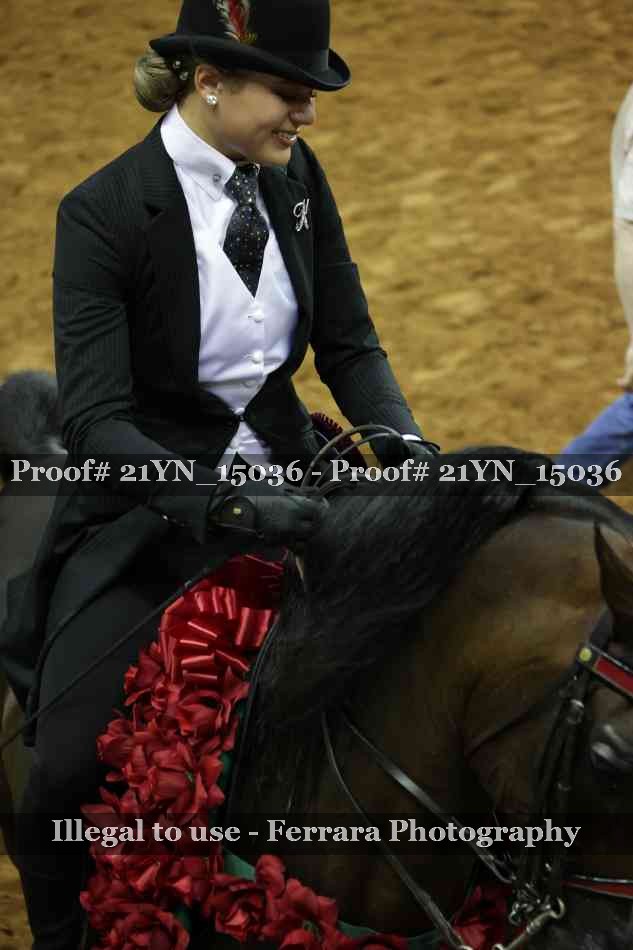Proof 21YN_15036