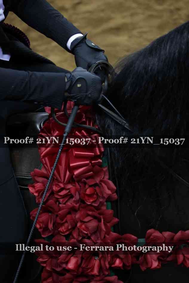 Proof 21YN_15037
