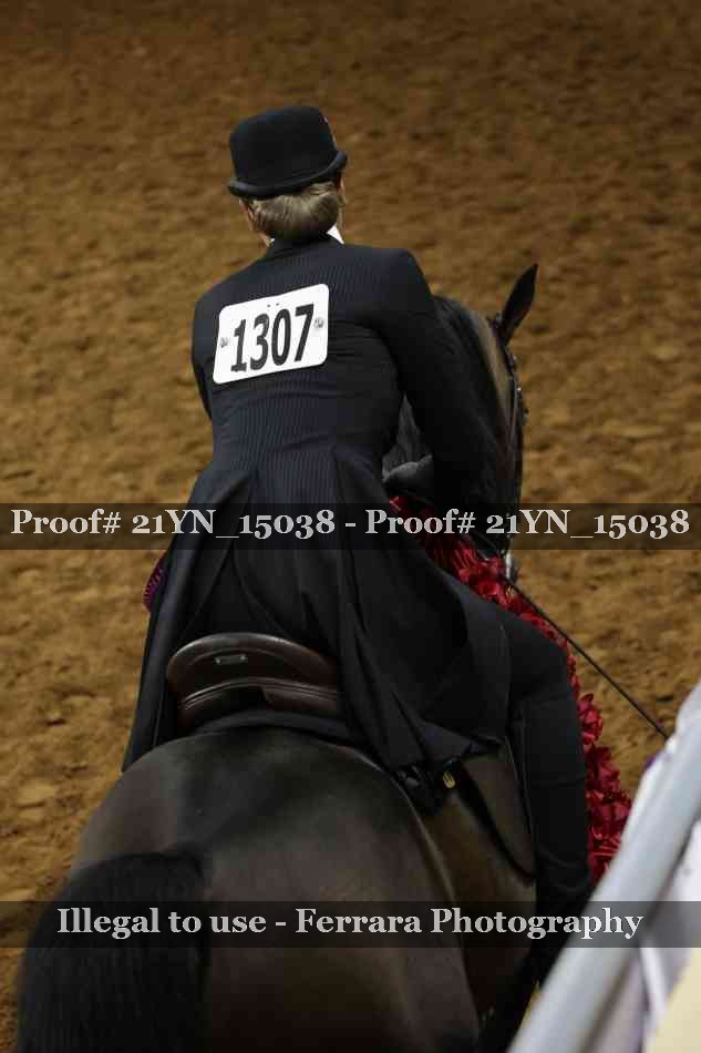 Proof 21YN_15038