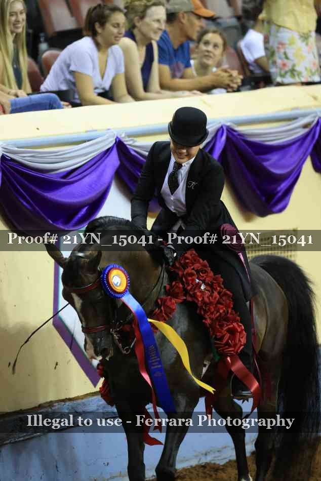Proof 21YN_15041