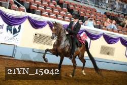 21YN_15042 proof