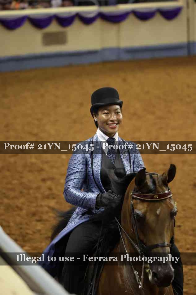 Proof 21YN_15045