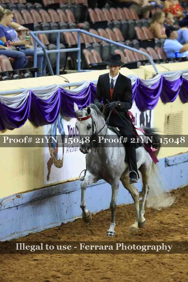 Proof 21YN_15048