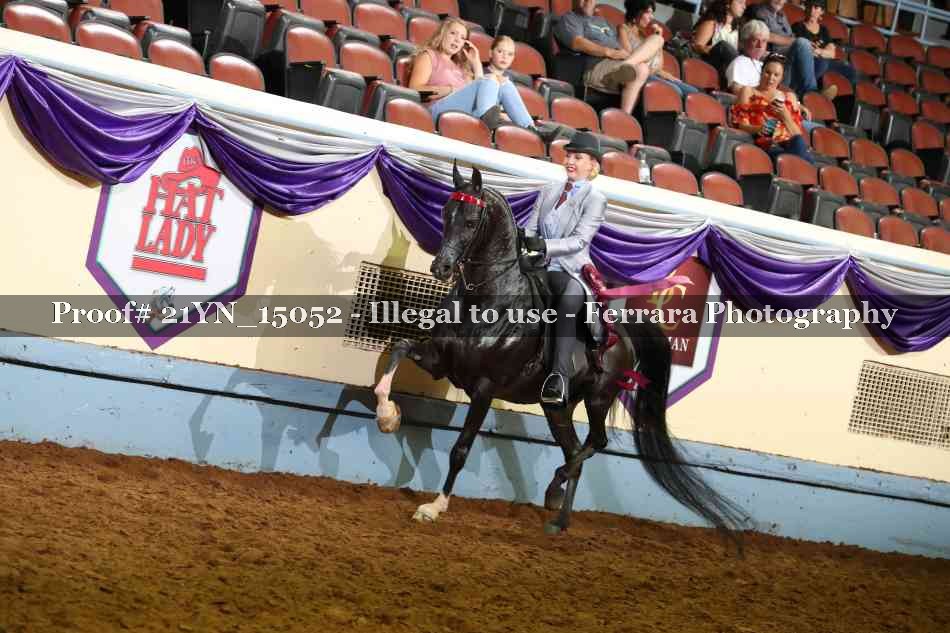 Proof 21YN_15052
